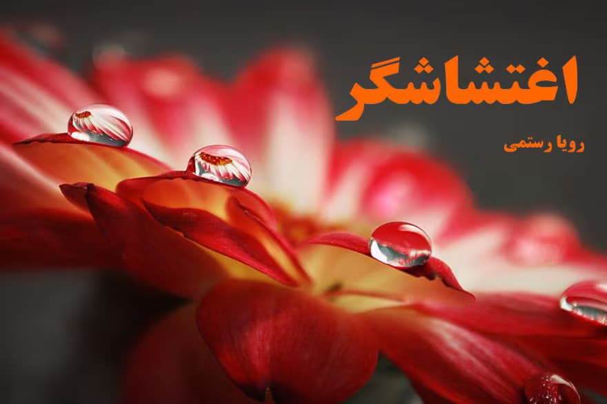 رمان اغتشاشگر نویسنده: رویا رستمی | دانلود | کتاب خوان