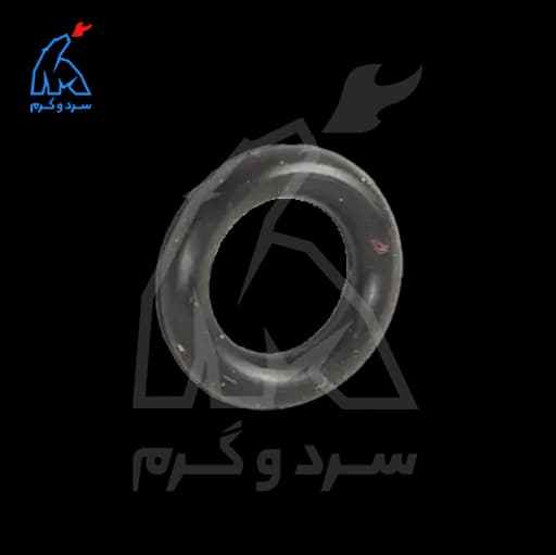 اورینگ 41 شیر احتراق جدید آبگرمکن بوتان 1.9×5.5 غیر شرکتی – 100 عددی