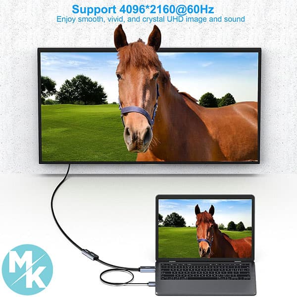 تبدیل DisplayPort به HDMI برند BENFEI مدل B -343 GREY — تصویر ۳