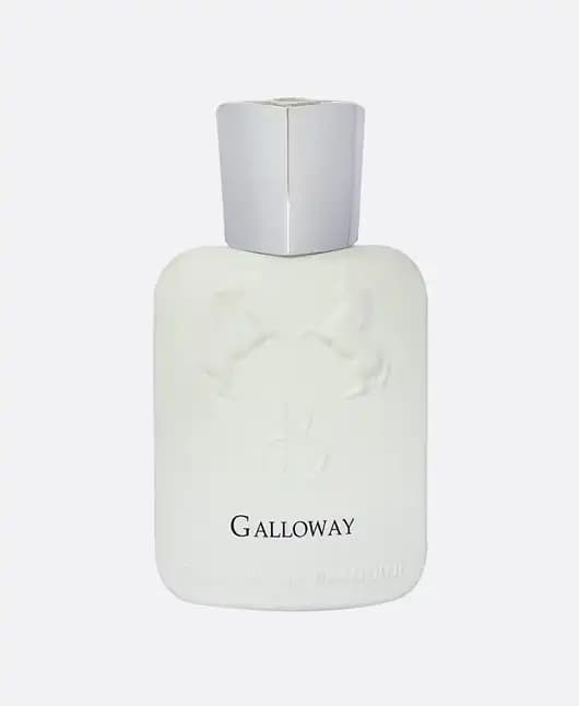 عطر جیبی برندینی طرح گالووی زنانه و مردانه