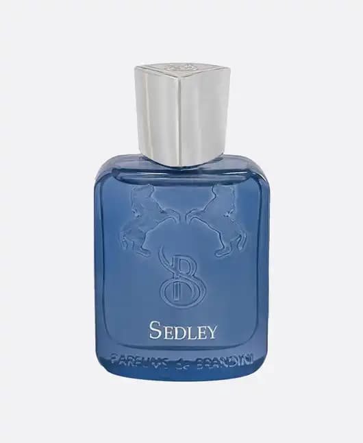 عطر جیبی برندینی طرح سدلی مردانه و زنانه — تصویر ۳