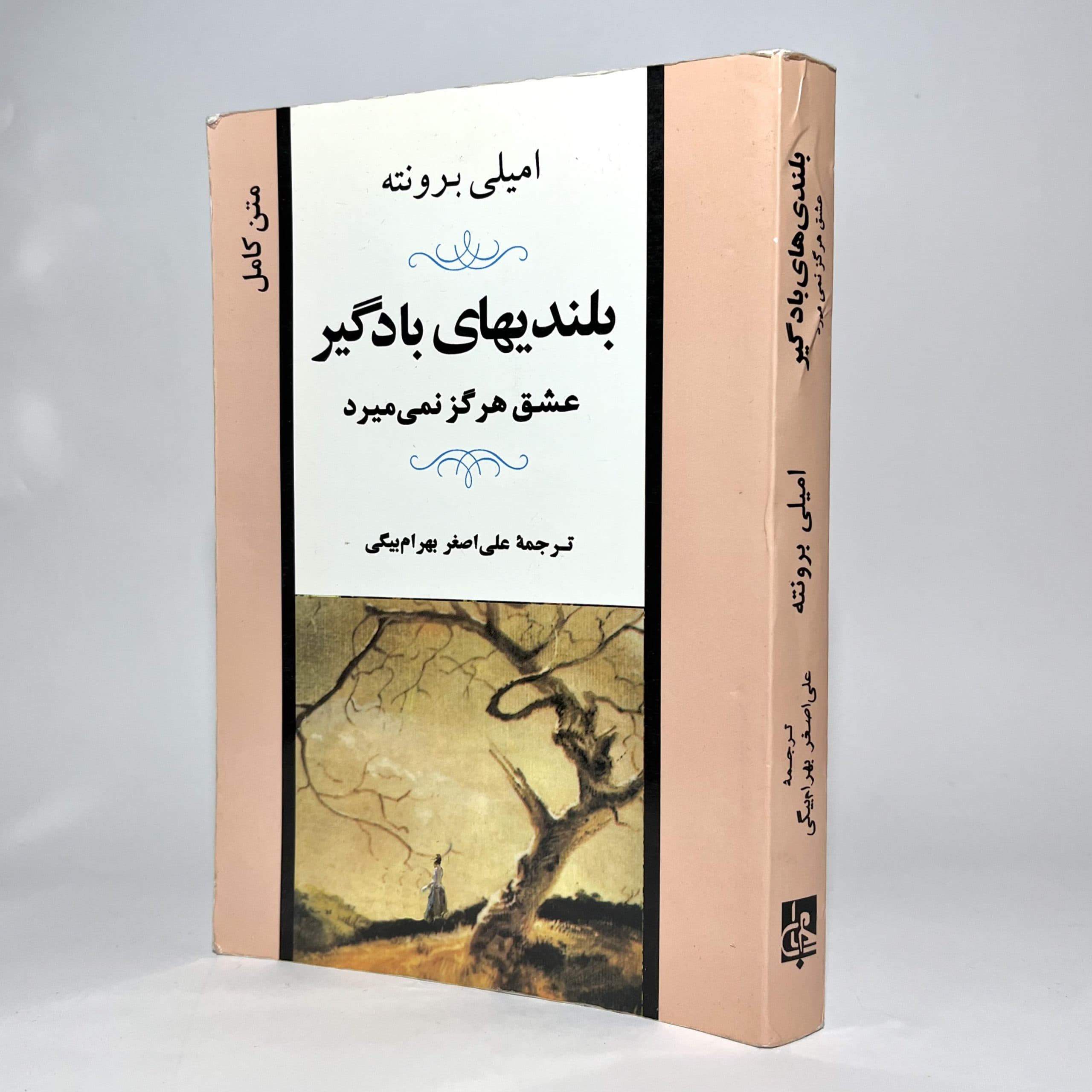 بلندیهای بادگیر (عشق هرگز نمی میرد) اثر امیلی برونته — تصویر ۳