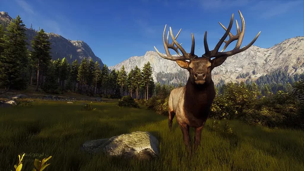 بازی Way of The Hunter برای PC — تصویر ۸