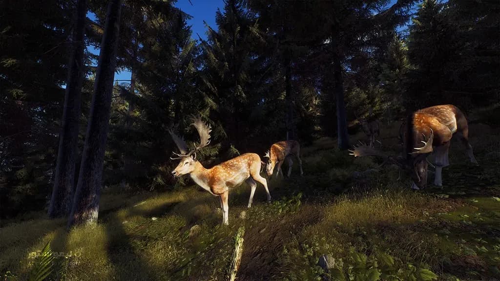 بازی Way of The Hunter برای PC — تصویر ۶