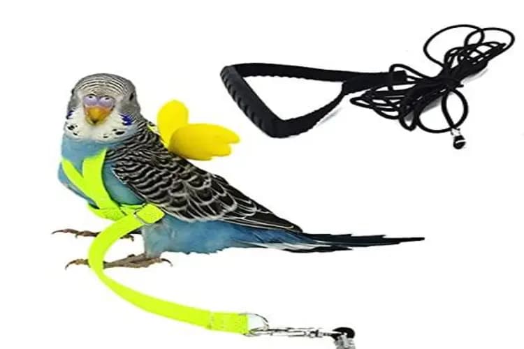 جلیقه پرواز پرنده — تصویر ۵