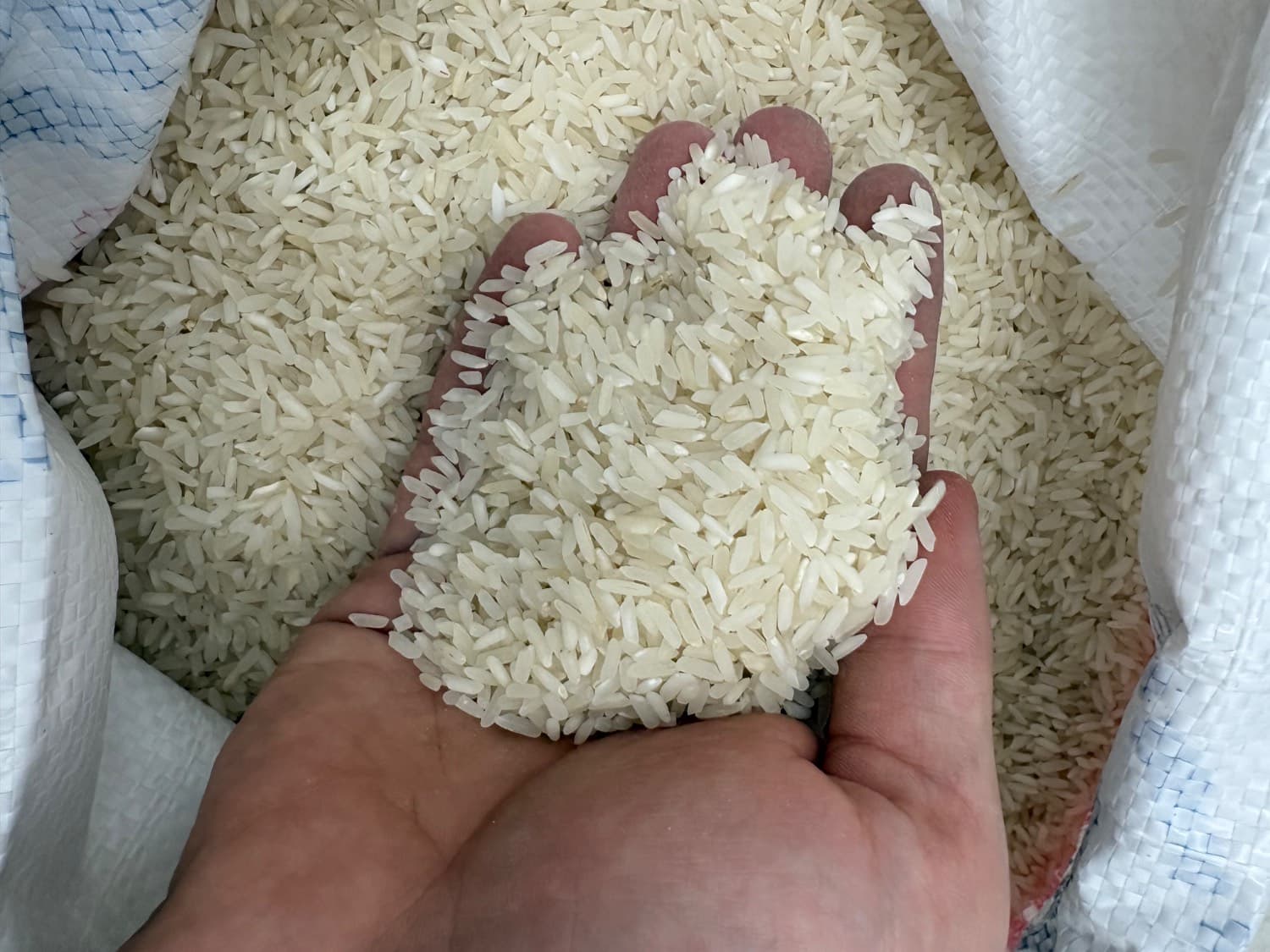 برنج سفید پاکستانی IRRI6 دماوند وزن 10 کیلوگرم — تصویر ۲