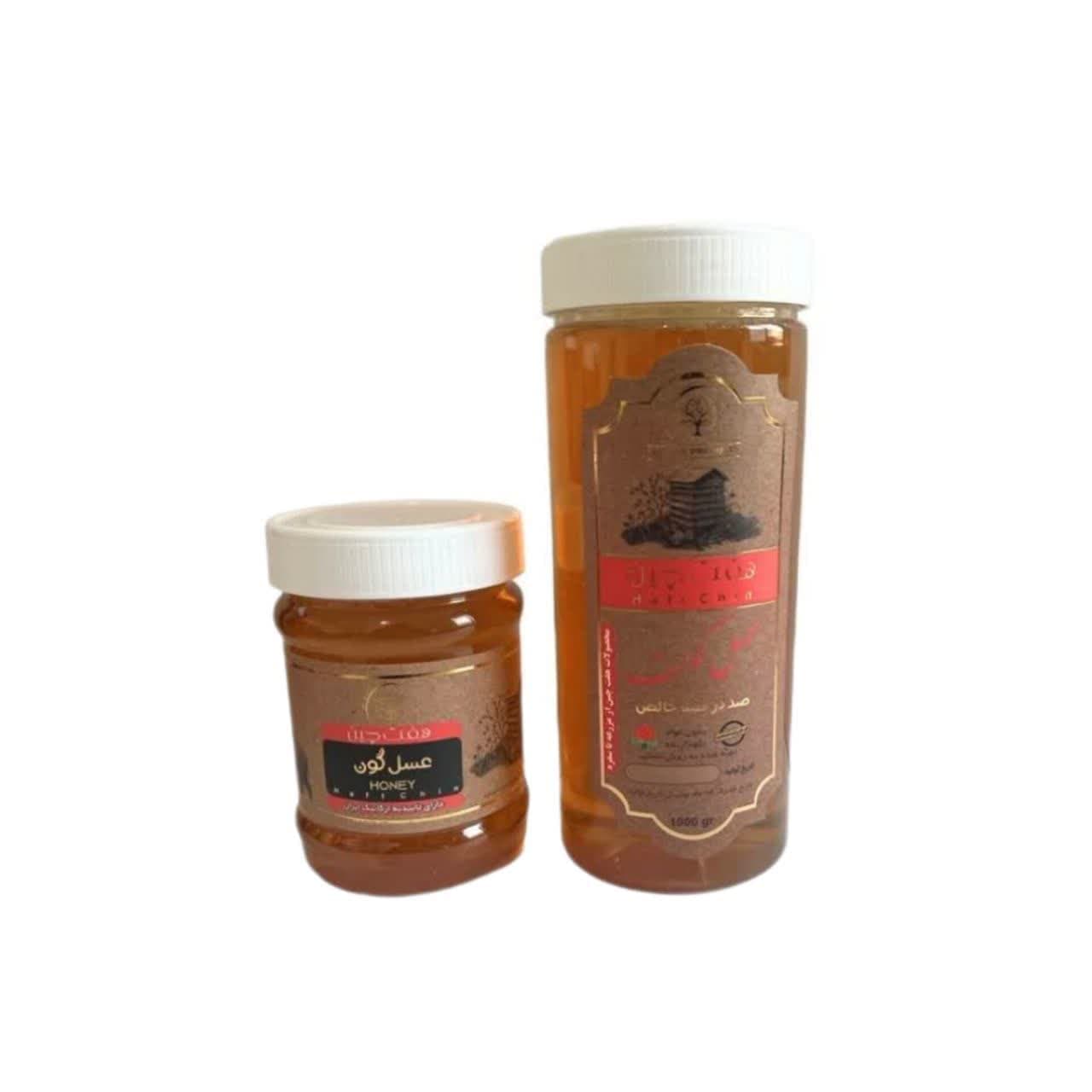 عسل گون (500 گرم) مجموعه حکیم خیراندیش — تصویر ۲