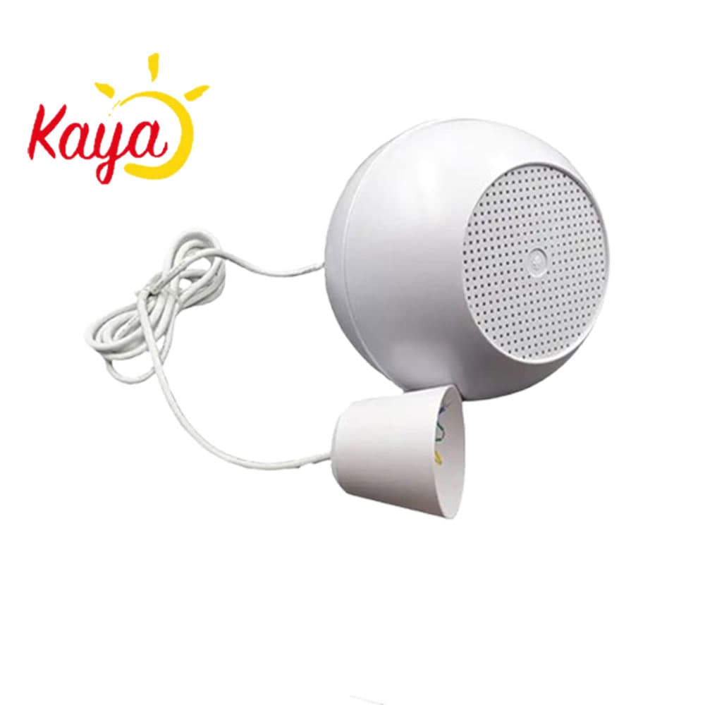 اسپیکر آویز لوستری FG-Sound FG-004