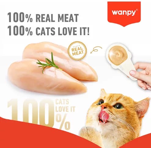 بستنی قاشقی گربه ونپی Wanpy با طعم مرغ — تصویر ۳