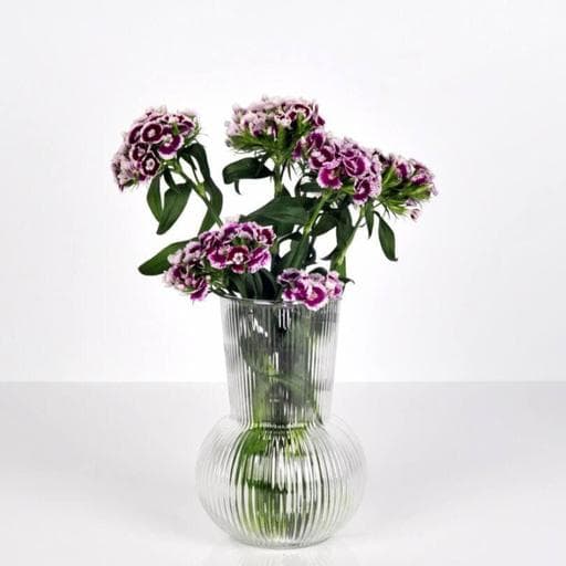 گلدان شیشه ای ایکیا — تصویر ۳