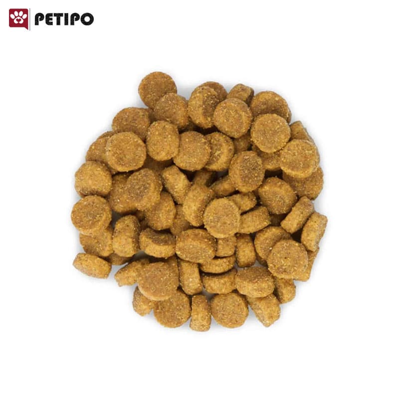 غذای خشک گربه بالغ با طعم ماهی هیلز (Hill’s Science Plan Adult Cat Tuna) وزن 1.5 کیلوگرم — تصویر ۶