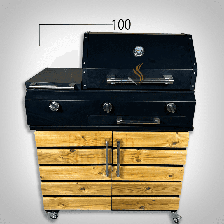 کبابپز گازی ترمو D100