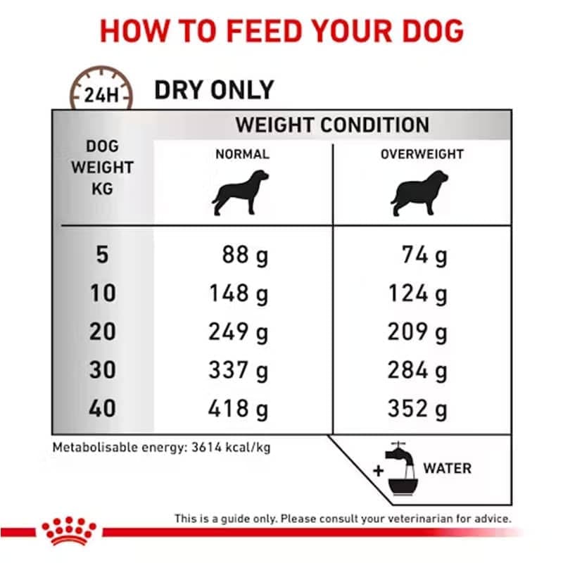 غذای خشک سگ گاسترو اینتستینال با کالری متوسط رویال کنین (Royal Canin Dog Gastro Moderate Calorie) وزن 2 کیلوگرم — تصویر ۷