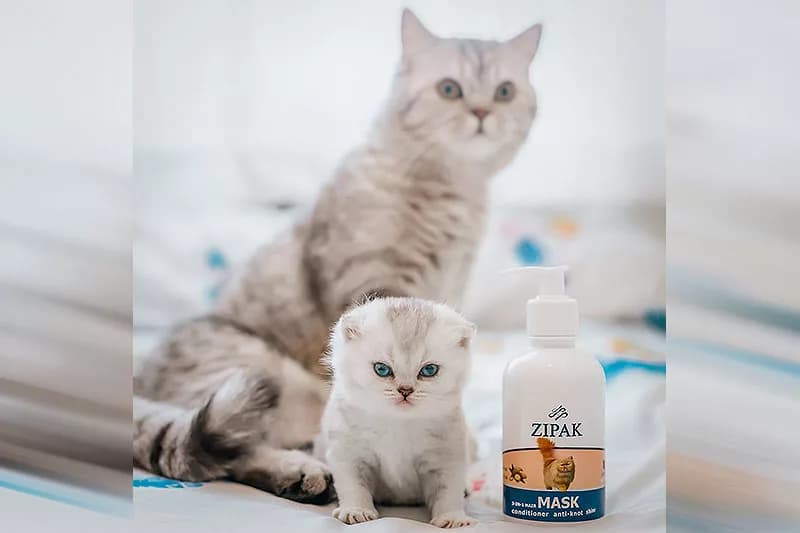 ماسک ضد گره و نرم‌کننده موی گربه زیپک | بدون نیاز به آبکشی، با روغن آرگان و جوجوبا — تصویر ۳