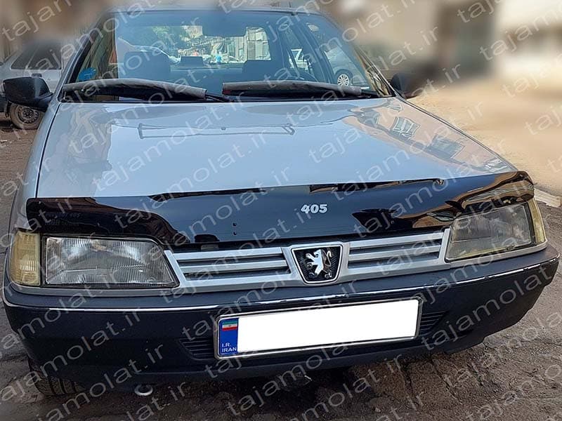 پشه پران پژو 405 — تصویر ۴