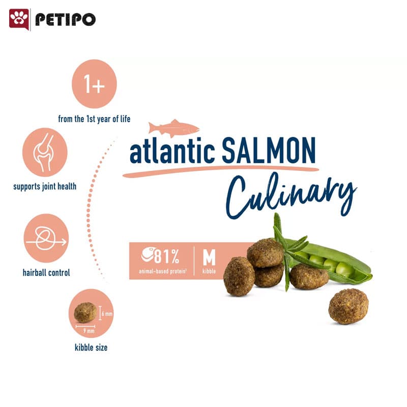 غذای خشک گربه بالغ طعم ماهی قزل آلا هپی کت (Happy Cat Culinary Atlantic Salmon) وزن 4کیلوگرم — تصویر ۸