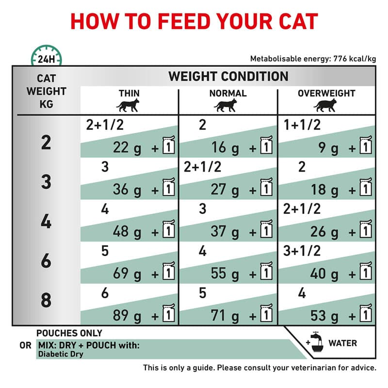 غذای خشک گربه دیابتیک رویال کنین (Royal Canin Diabetic Cat) وزن 3.5 کیلوگرم — تصویر ۹