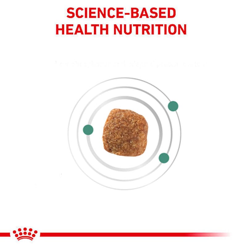 غذای خشک گربه دیابتیک رویال کنین (Royal Canin Diabetic Cat) وزن 3.5 کیلوگرم — تصویر ۵