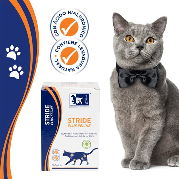 شربت مکمل ویژه مفاصل و غضروف گربه استراید پلاس تی آر ام (TRM Stride Plus Feline) وزن 160میلی لیتر — تصویر ۶
