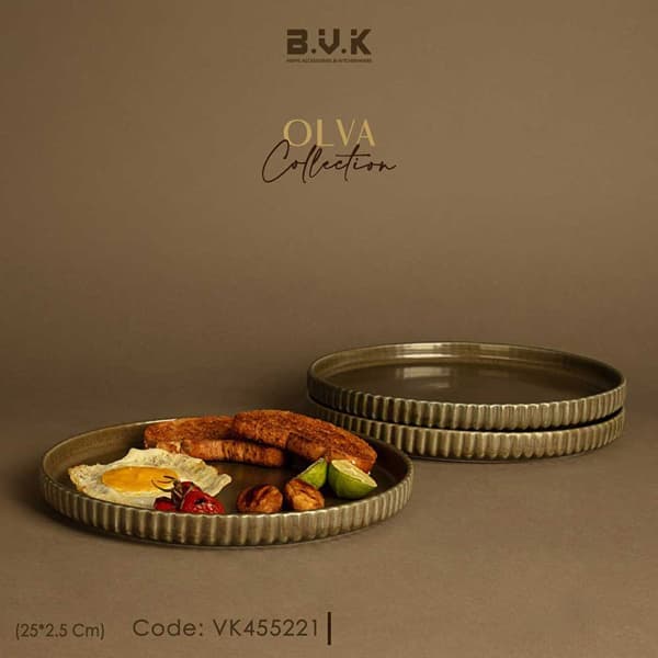 بشقاب تخت سایز 25 بی وی کی زیتونی bvk 455221 سه عددی — تصویر ۴