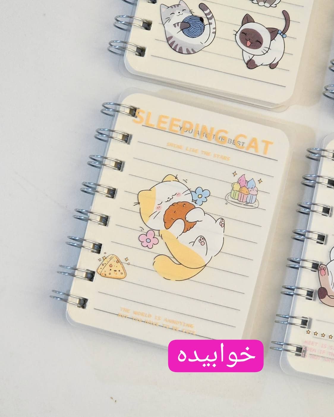دفترچه جلد شفاف گربه — تصویر ۹