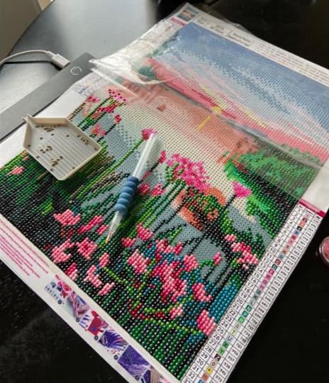 نقاشی الماسی بزرگسال 30*40