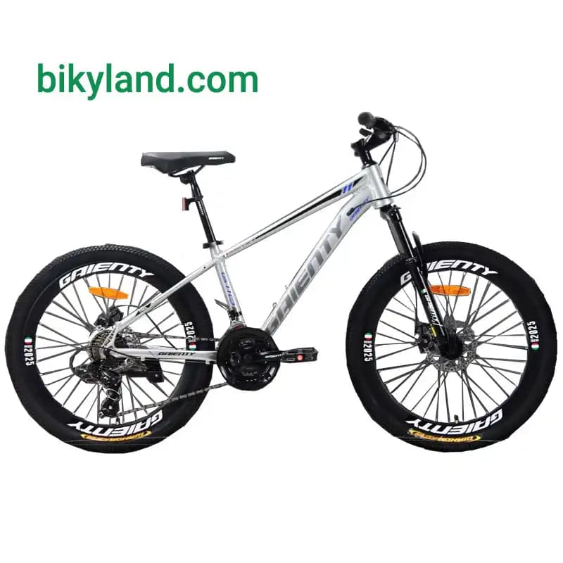 دوچرخه سایز 24 جاینتی مدل GIANTY G110