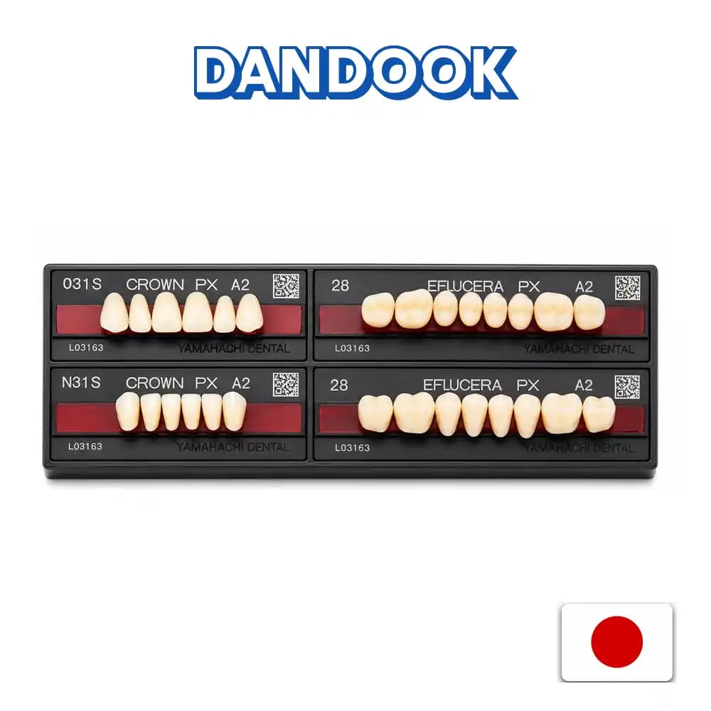 دست دندان یاماهاچی کامپوزیتی Yamahachi Crown PX Anterior