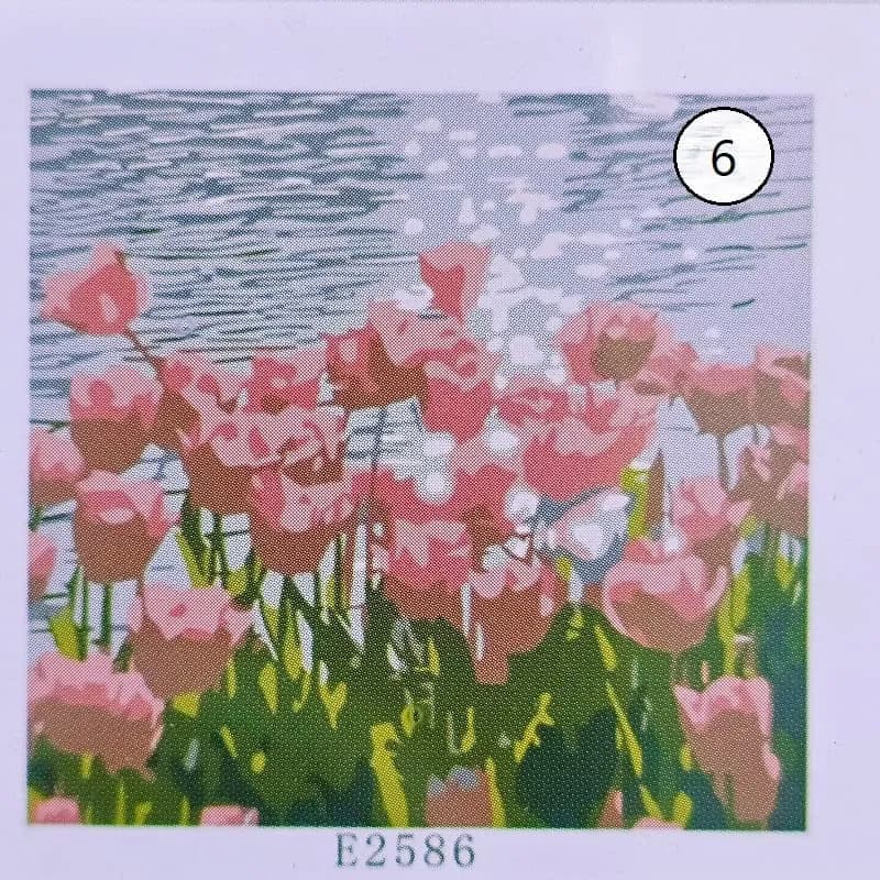 بوم رنگ آمیزی با اعداد سایز 30*30 — تصویر ۷