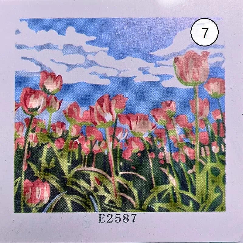 بوم رنگ آمیزی با اعداد سایز 30*30 — تصویر ۸