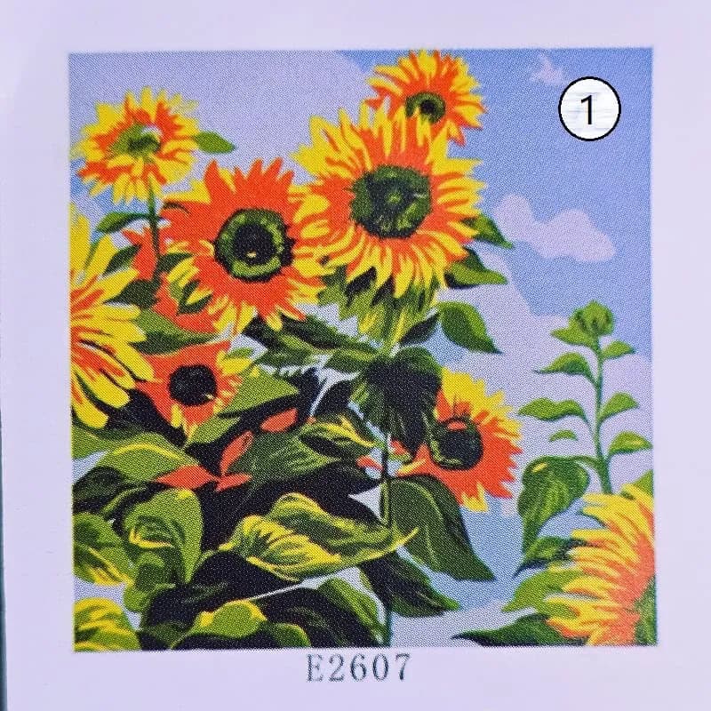 بوم رنگ آمیزی با اعداد سایز 30*30 — تصویر ۲