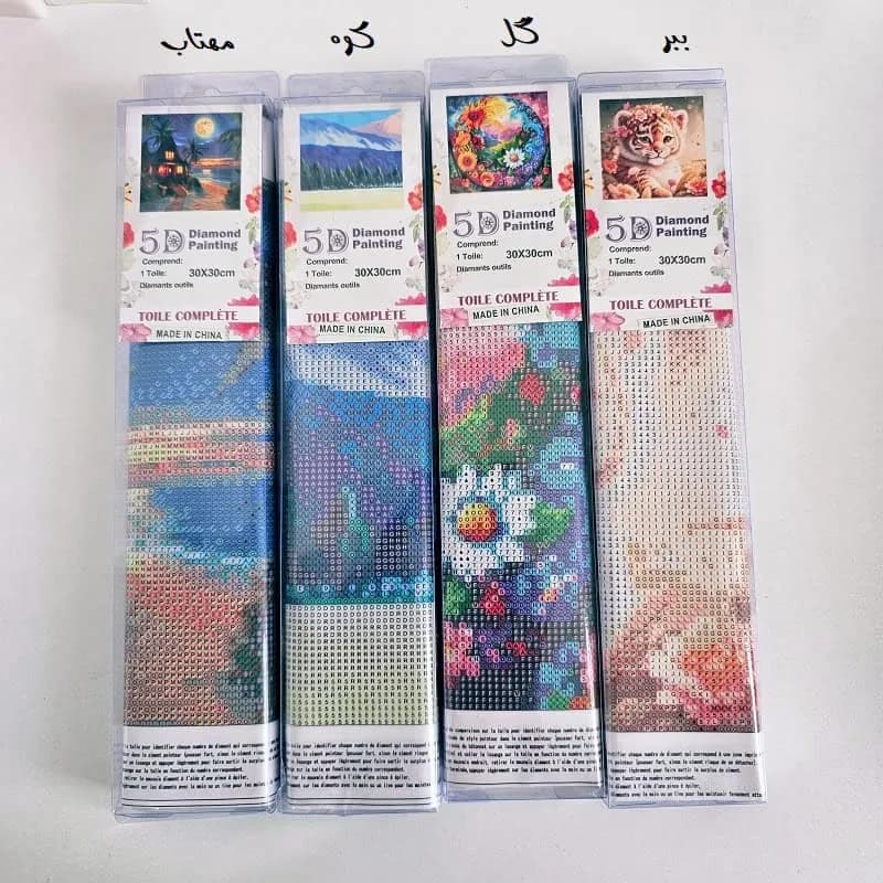 نقاشی الماسی فرشی بزرگسال 30*30 — تصویر ۴