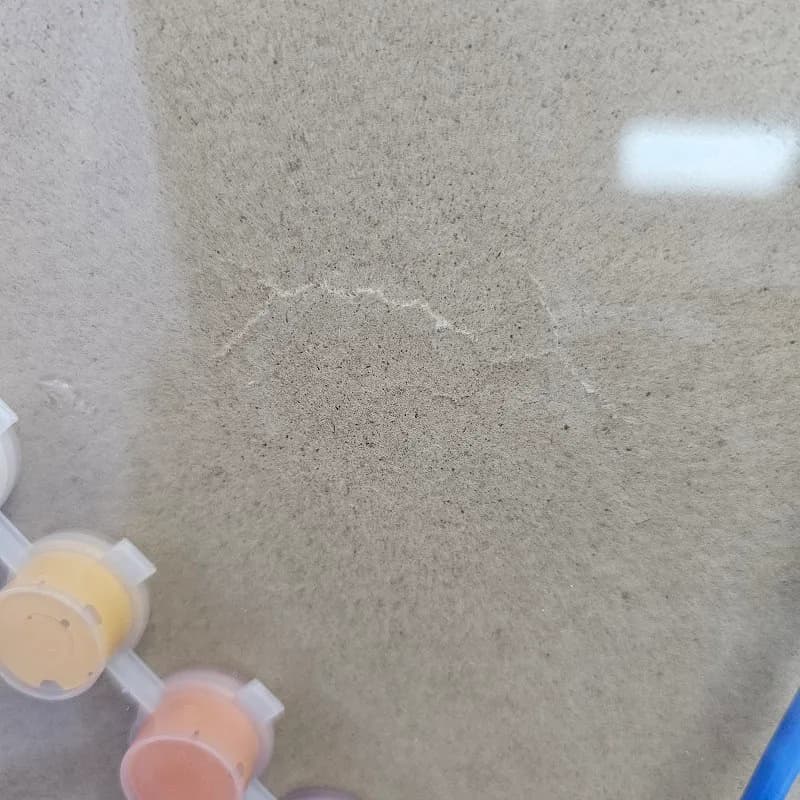 بوم رنگ آمیزی با اعداد 30*30 (معیوب) — تصویر ۸