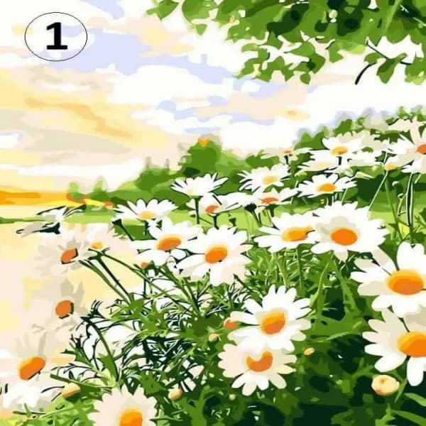 بوم رنگ آمیزی با اعداد سایز 50*40 — تصویر ۱۰