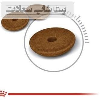 غذای خشک گربه مراقبت از سیستم گوارش رویال کنین Royal Canin Digestive Care وزن 2 کیلوگرم — تصویر ۹