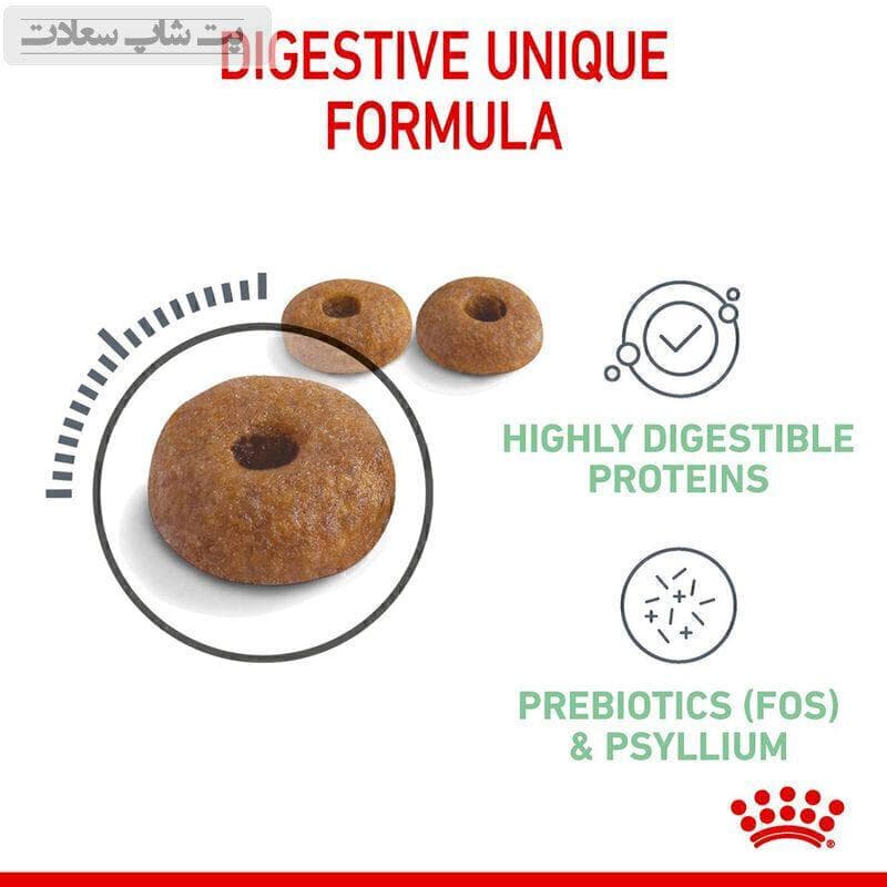 غذای خشک گربه مراقبت از سیستم گوارش رویال کنین Royal Canin Digestive Care وزن 2 کیلوگرم — تصویر ۴