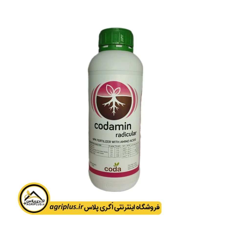 کود کدامین رادیکولار — تصویر ۴