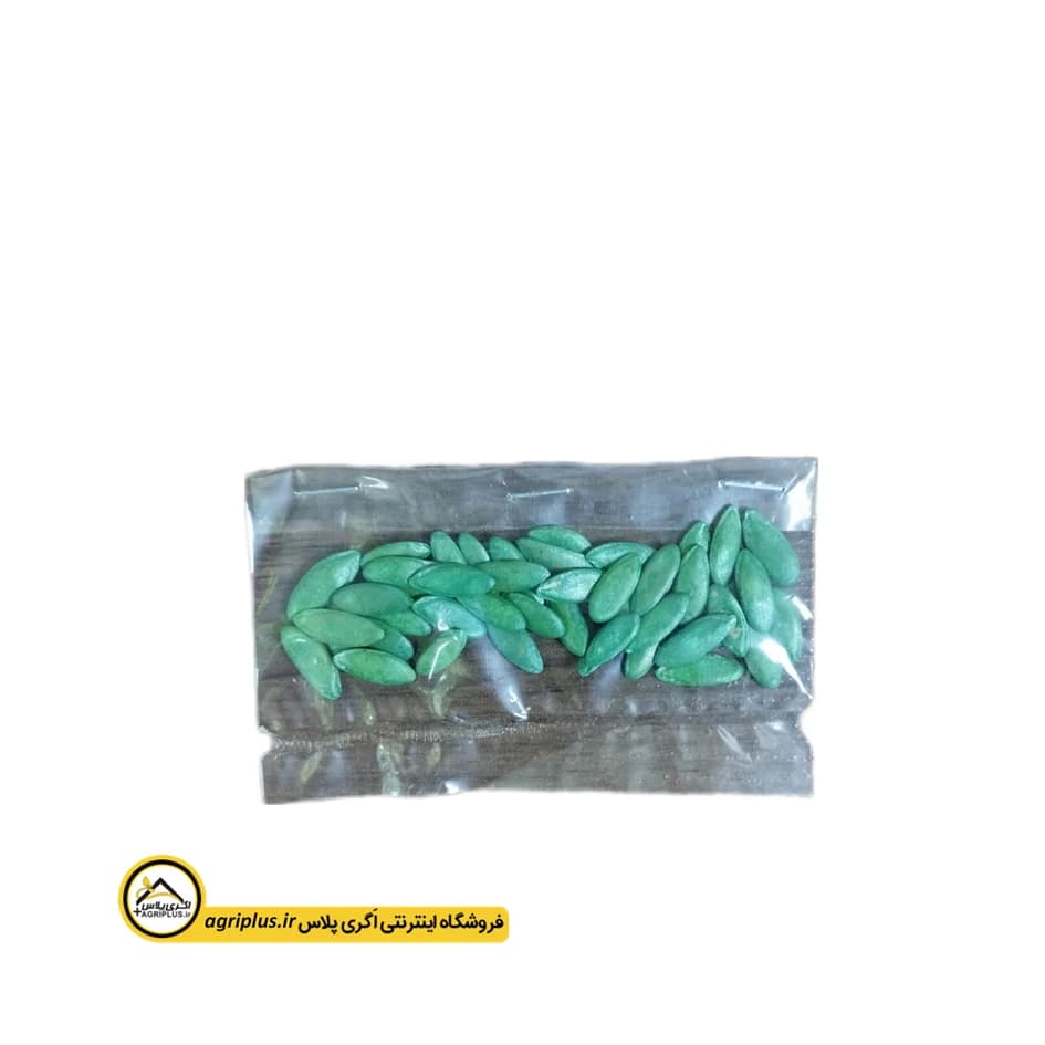 بذر خیار زمینی بت آلفا روزن سید — تصویر ۳