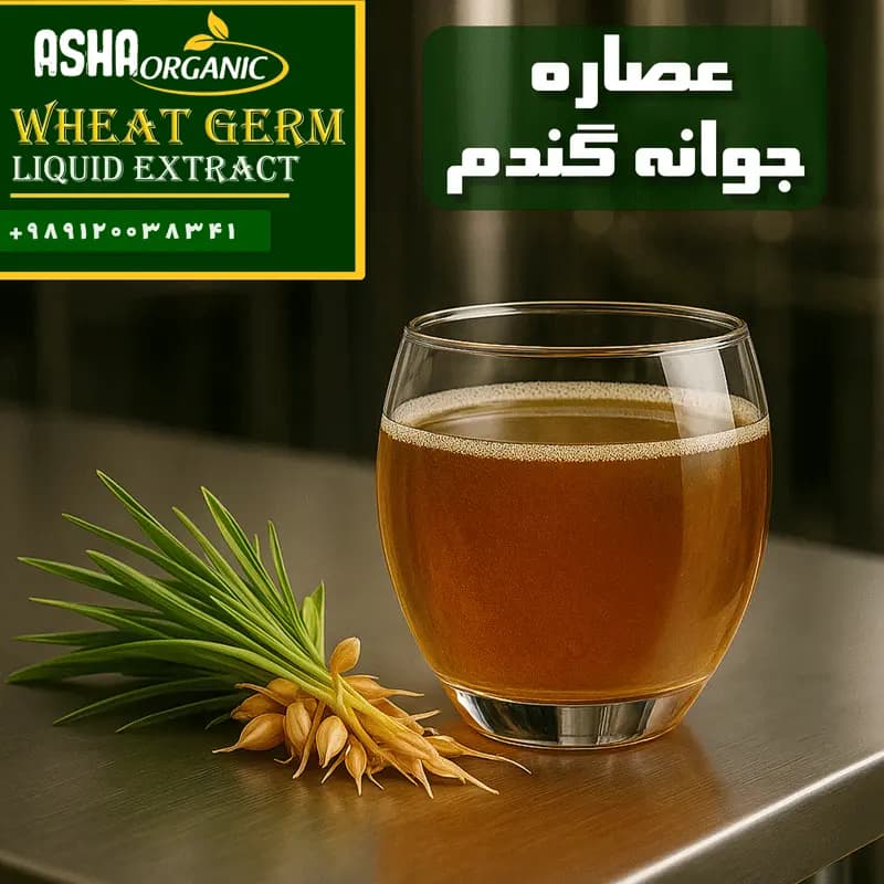 عصاره جوانه گندم مایع — تصویر ۲
