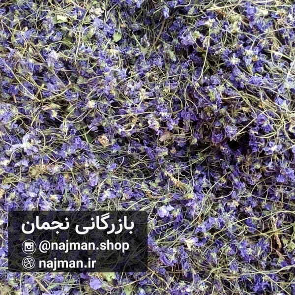 گل بنفشه خشک — تصویر ۴