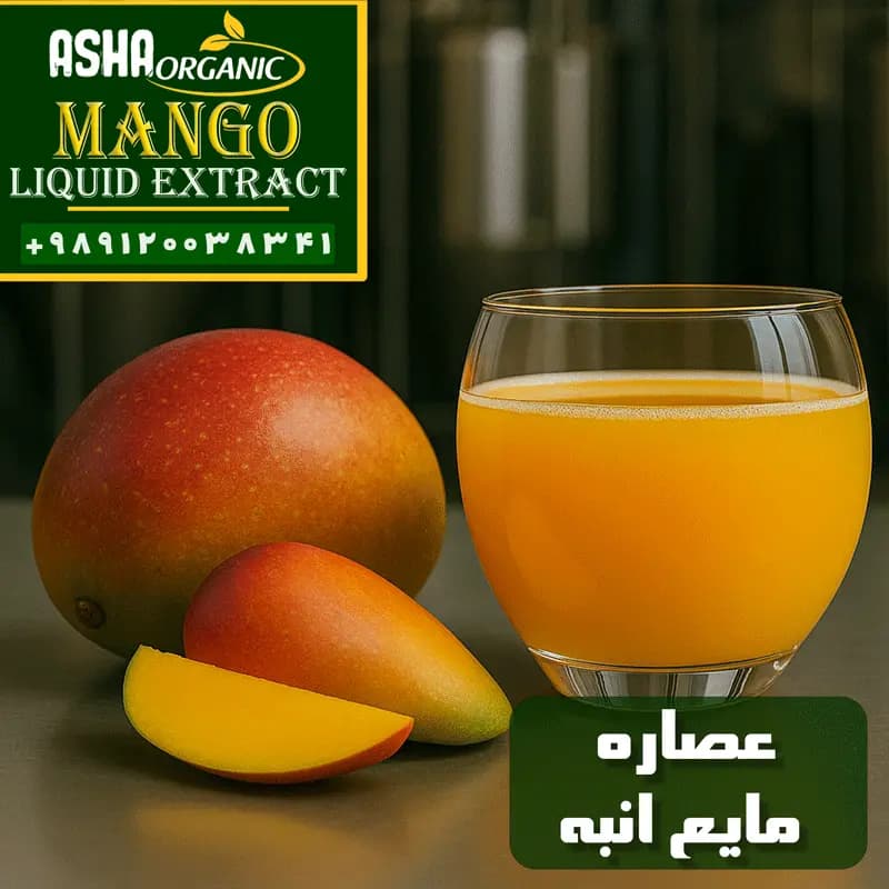 عصاره انبه مایع — تصویر ۴