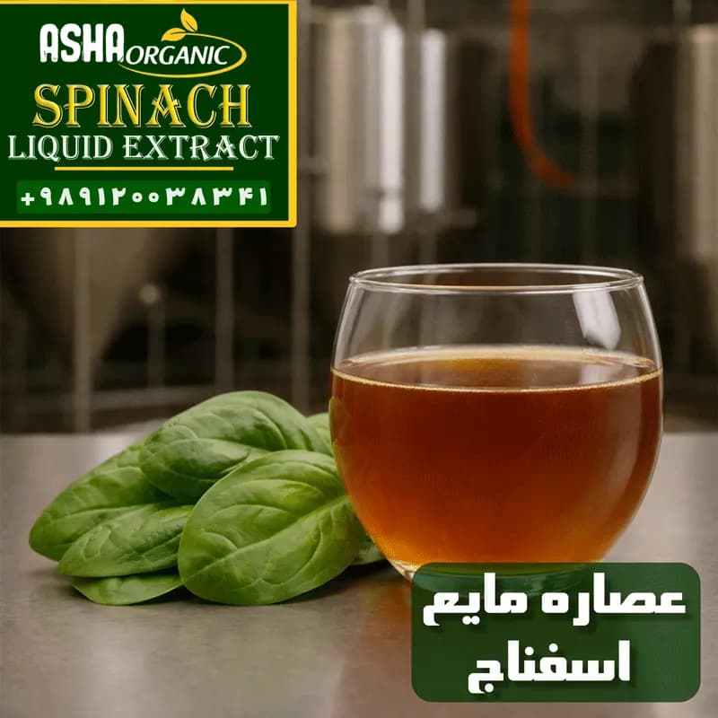 عصاره اسفناج مایع — تصویر ۲