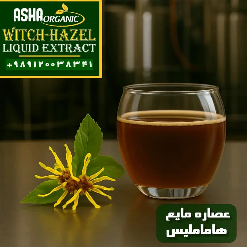 عصاره هاماملیس مایع — تصویر ۴