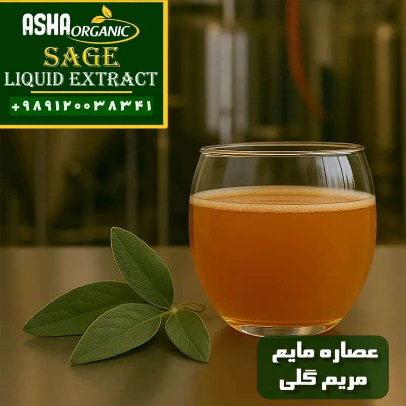 عصاره مریم گلی مایع — تصویر ۲