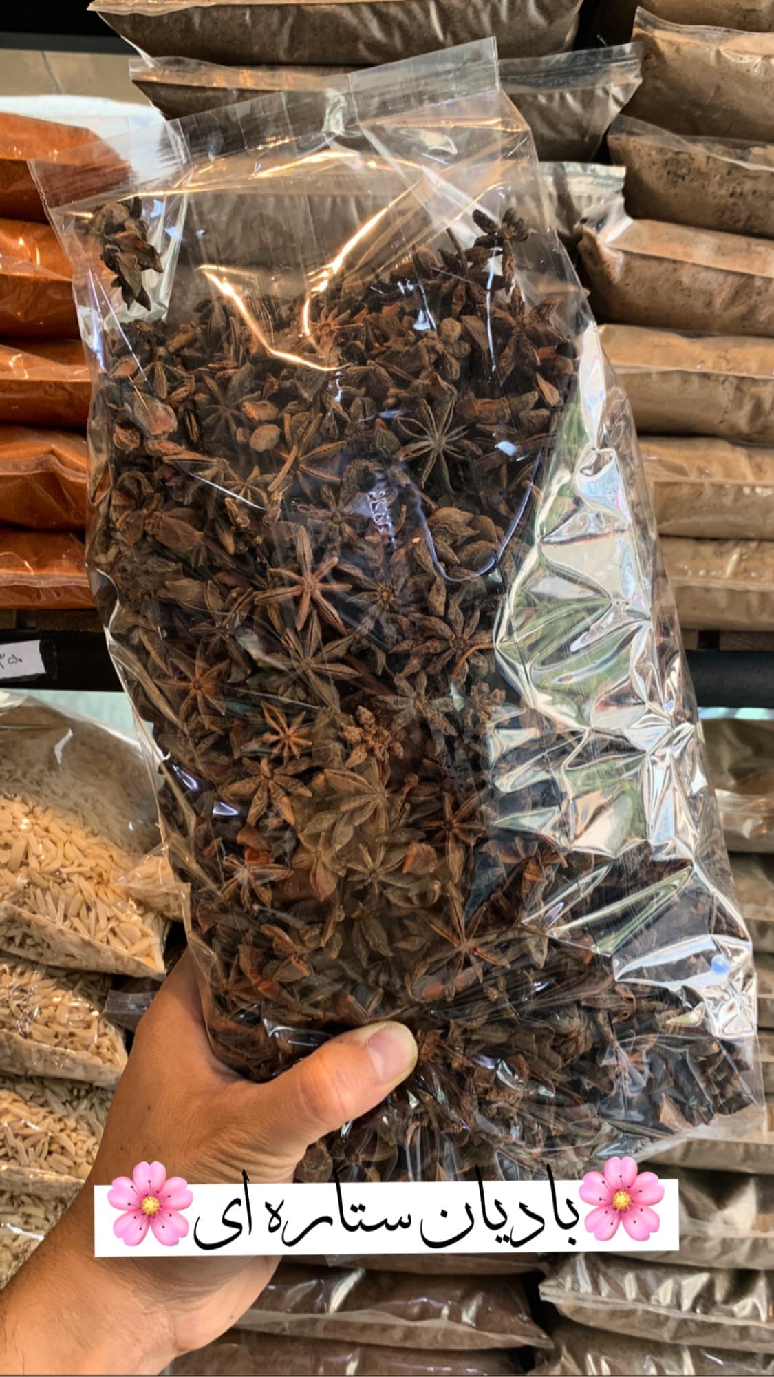 بادیان ستاره ای 1 کیلویی — تصویر ۳