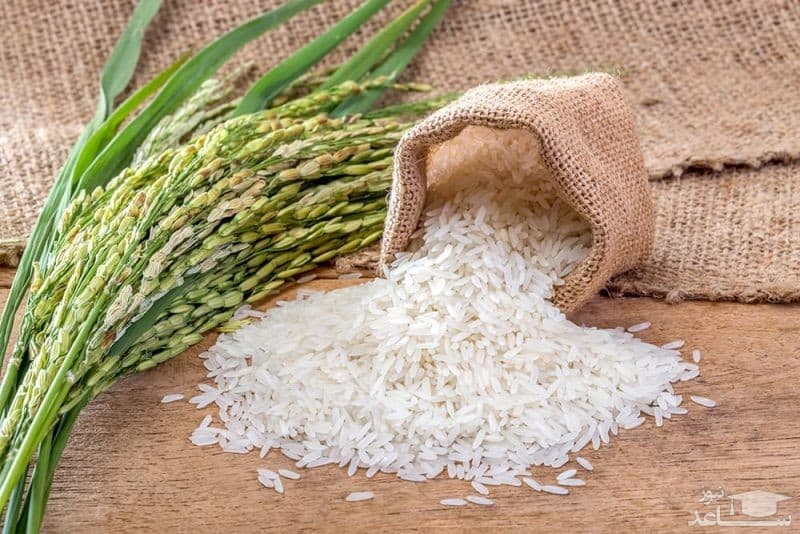 برنج محلی اصل شمال ۱۰ کیلویی برند بهارنارنج (باضمانت) — تصویر ۹