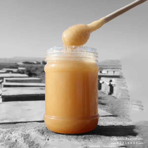 عسل رویال تقویتی ارگانیک – 250 گرمی