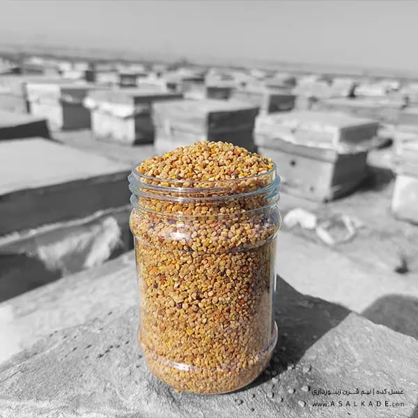 گرده گل خالص کوهستانی دو کیلوگرمی