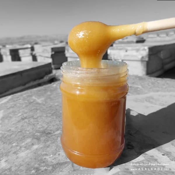 عسل محرمانه خام – ارگانیک — تصویر ۶