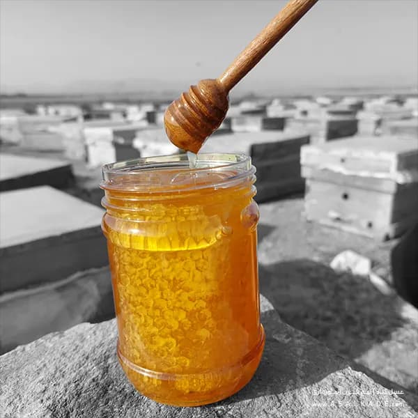 عسل بهارنارنج موم دار – ارگانیک